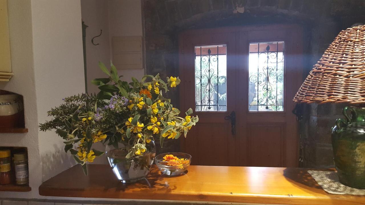 SečovljeIstrian Stone House别墅 外观 照片