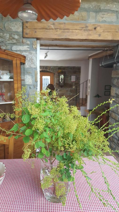 SečovljeIstrian Stone House别墅 外观 照片