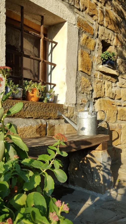SečovljeIstrian Stone House别墅 外观 照片
