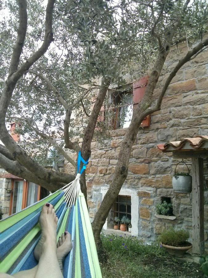 SečovljeIstrian Stone House别墅 外观 照片
