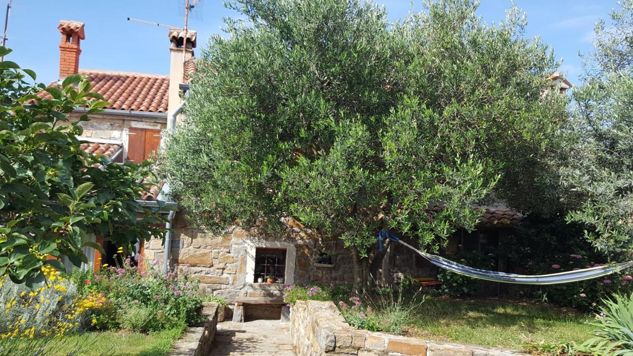 SečovljeIstrian Stone House别墅 外观 照片