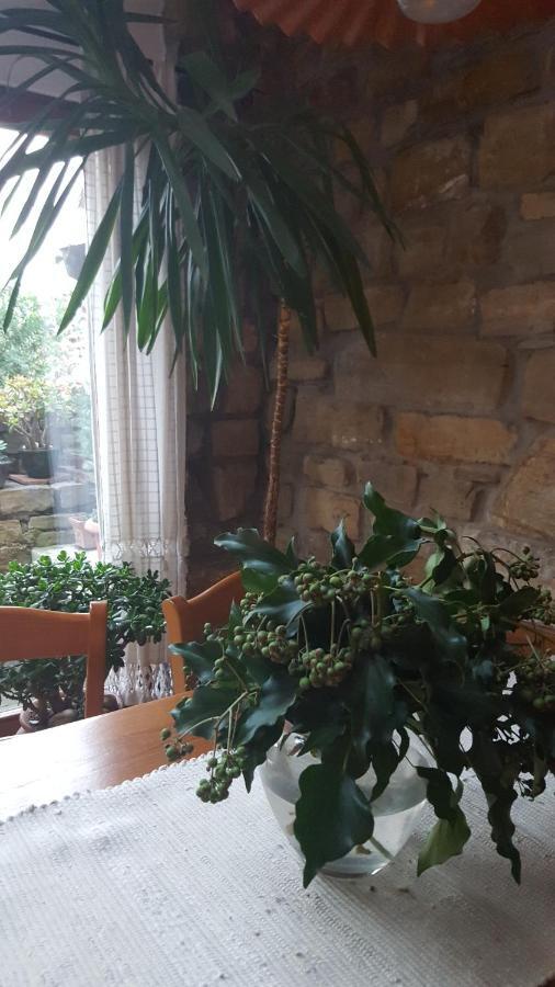 SečovljeIstrian Stone House别墅 外观 照片