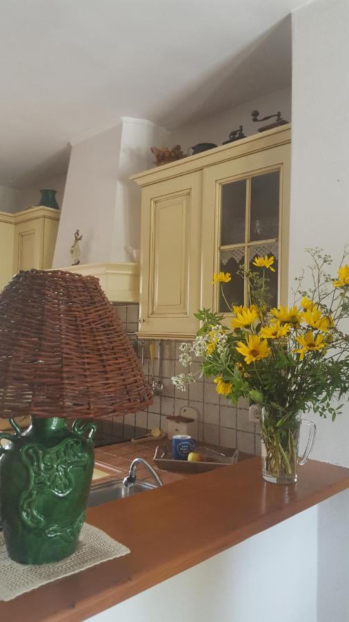 SečovljeIstrian Stone House别墅 外观 照片
